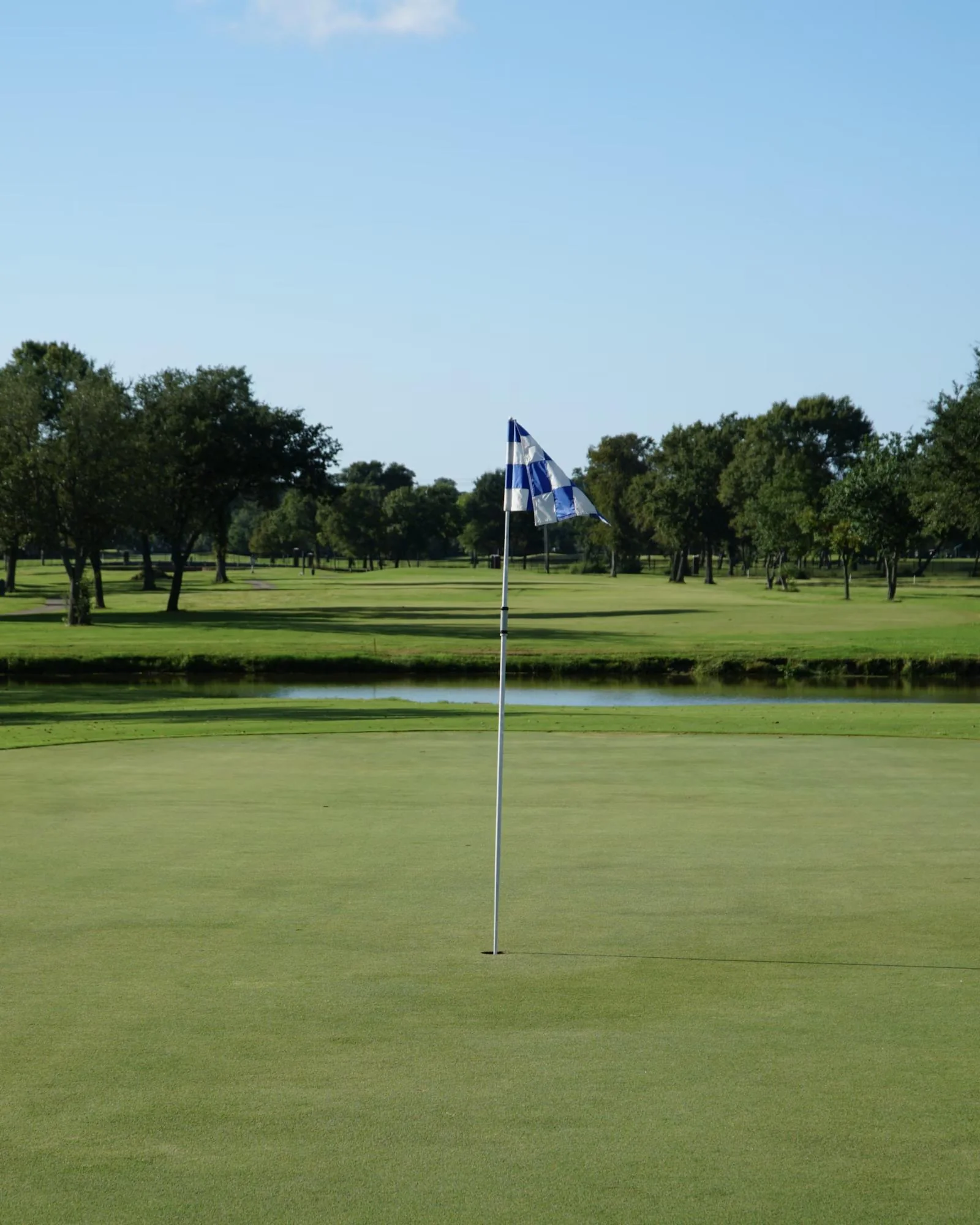 A golf course fairway with mature trees in the distance