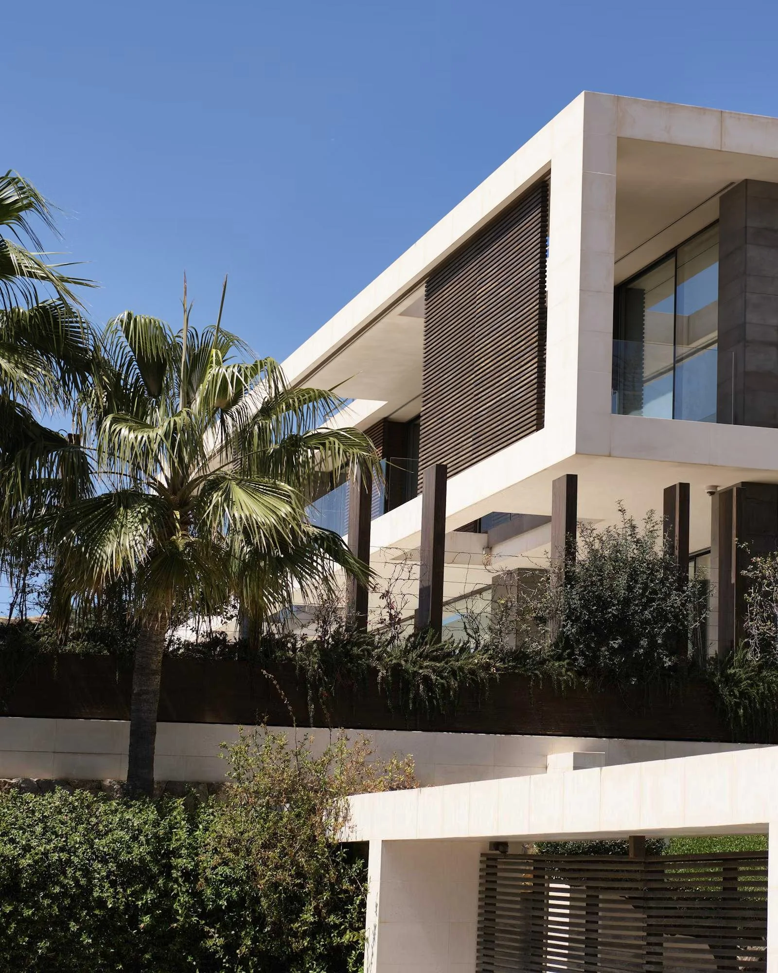 A contemporary stone and timber residence framed by palm trees